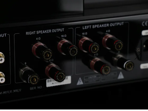 Line Magnetic LM-805IA MKII - Imagen 7