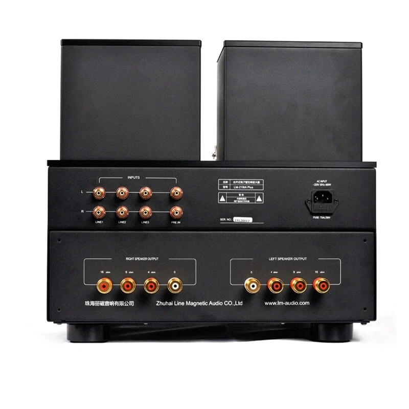 Amplificador Integrado Line Magnetic LM-219IA Plus - Imagen 4