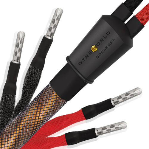 Eclipse™ 10 Speaker Cable - Imagen 2